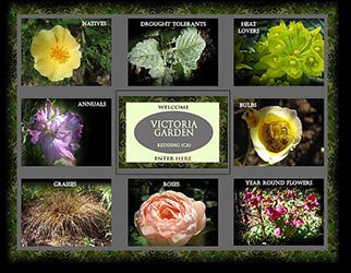 website Victoria Garden