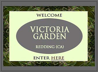 enter here the website