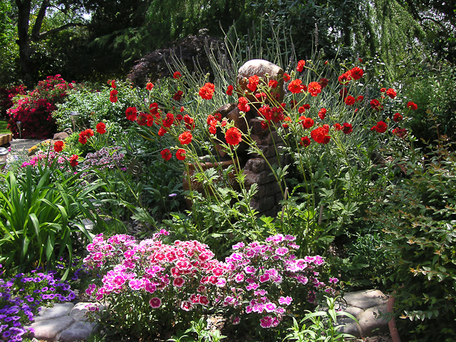 Pat and Sheri's garden