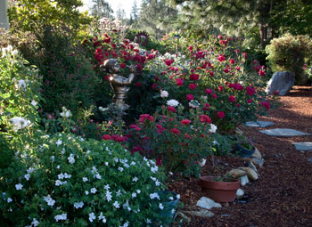 mulch in Carole's garden